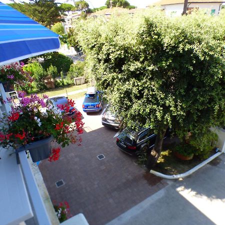 Complesso Oasi Apartman Tirrenia Kültér fotó